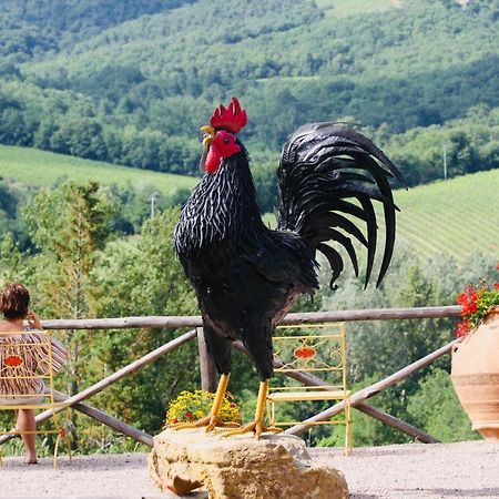 Agriturismo Borgo Il Bonagino Radda in Chianti Exterior foto