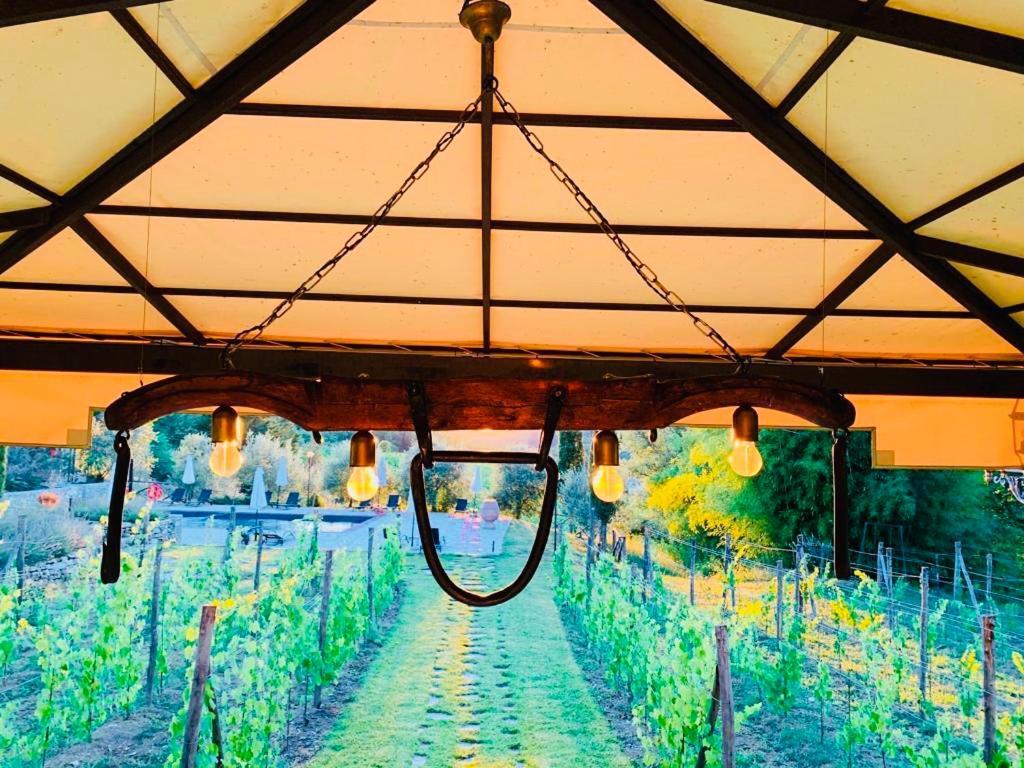 Agriturismo Borgo Il Bonagino Radda in Chianti Exterior foto